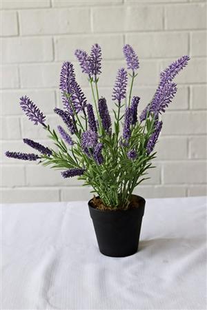ARTIFICIAL HOME AND OFFICE PLANTS
