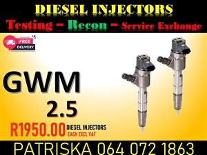 GET YOUR DIESEL INJECTORS FOR GWM 2.5 NEW OR RECON