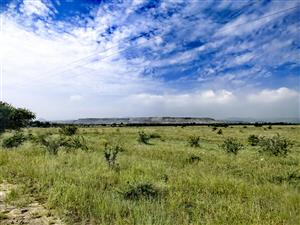 Prime land close to major mines