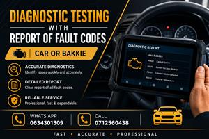 Diagnostic test auto