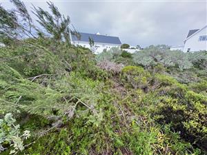 Vacant land in St Francis Links