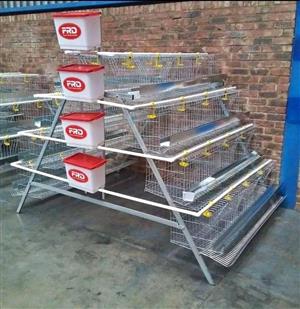 Chicken layer Cages