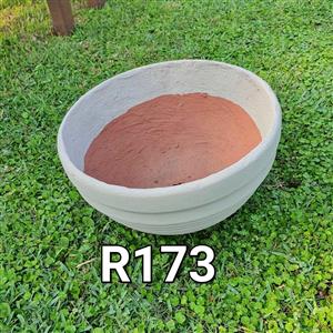 Rosemary Pots   GARDEN MARKET PLACE  NO 1 Gardens Road. HILLCREST