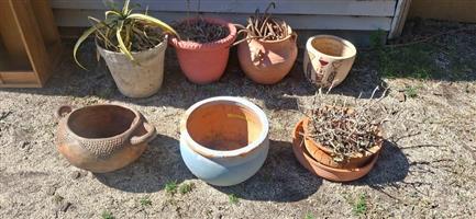 Plant pots 