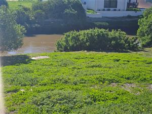 Live Your Waterfront Dream – Prime Marina Stand on Admiral Island