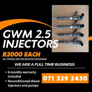 GWM 2.5 INJECTORS FOR SALE WITH WARRANTY 