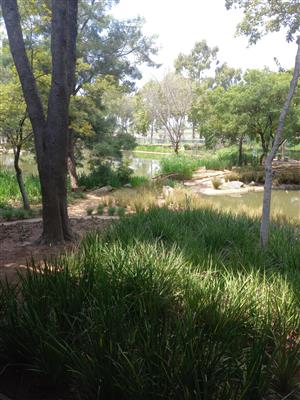 517m² First Floor Office to Let – Central Office Park, Randjespark, Midrand