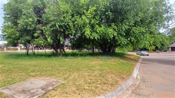 YOUR CANVASS IN THE BUSHVELD