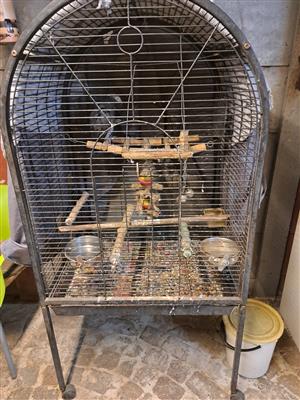 Bird cage