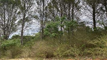 Vacant Stand For sale in Bathurst