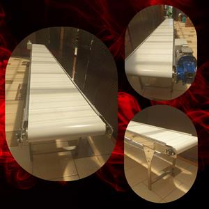 13. Stainless Conveyor Groove Food‑grade stainless conveyors, 0.5m systems with 