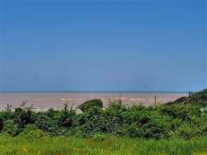 Beach front Commercial Property with great potential for sale in Tugela Mouth!