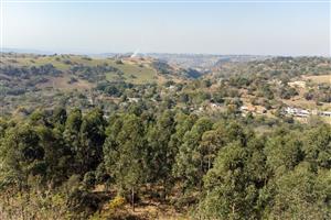 Sweeping Views & Endless Possibilities in Forest Hills