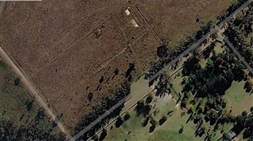 Vacant Land Agricultural For Sale in Walker Fruit Farms