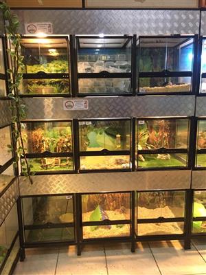 reptile display unit