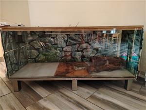 Reptile enclosure setup
