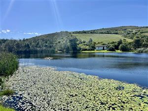 Farm For Sale in Riversdale Rural