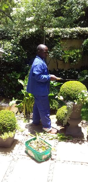 Housekeeper / gardenboy available 