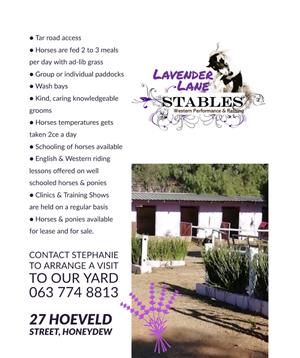 Stabling available in Honeydew 