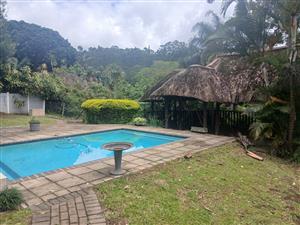 A  beautiful home with a lot potential