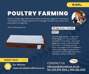 132 egg Candler to test eggs