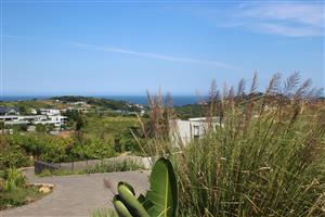 Elevated Stand Overlooking Coral Cove & Zululami’s Natural Beauty