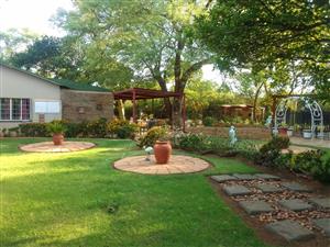 Neat and Well-Maintained Farm with more than 60 fruit trees - Main house and flat.