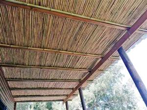 Bamboo ceiling