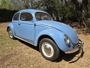 1956 Volkswagen Oval Beetle