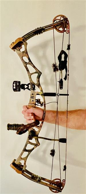 HOYT Compact Bow