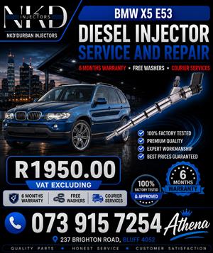 Recondition_Injectors_BMW_X5_E53